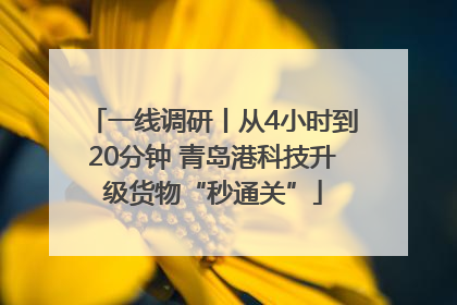 一线调研丨从4小时到20分钟 青岛港科技升级货物“秒通关”